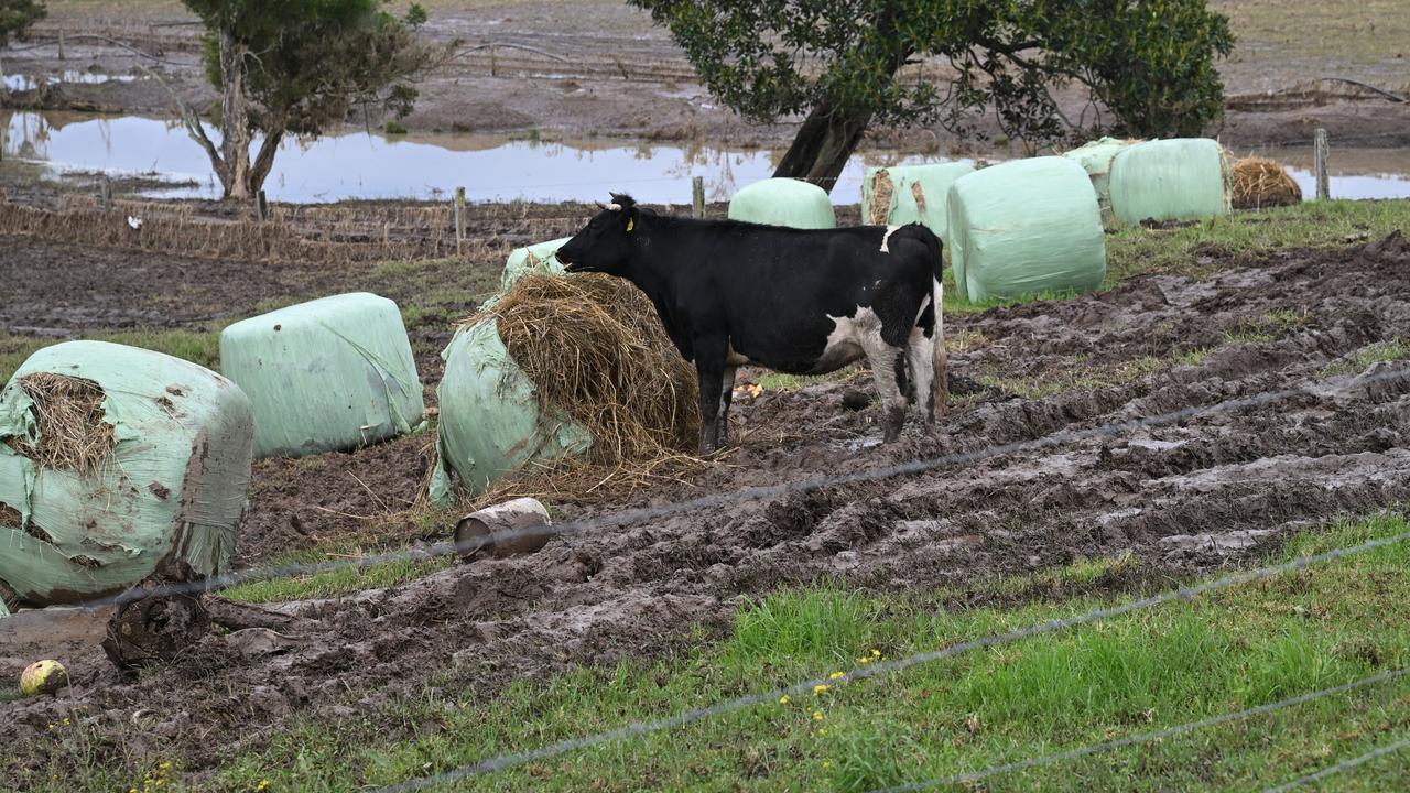 Flood-ravaged farm