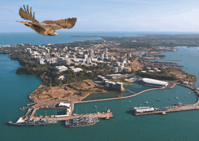 Port of Darwin. A pawn in appeasing the China hawks?