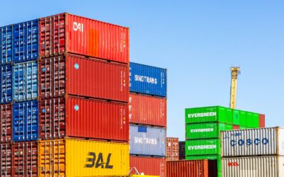 Aust could take Trump tariffs to world trade umpire