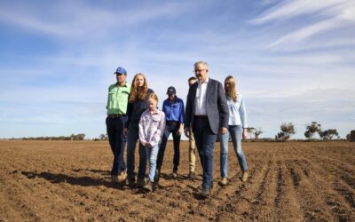 Farmers hit by disasters to get financial counselling