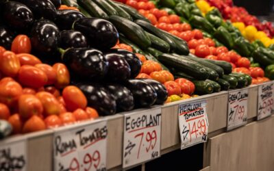Food system’s billions of ‘hidden costs’ a sick outlook