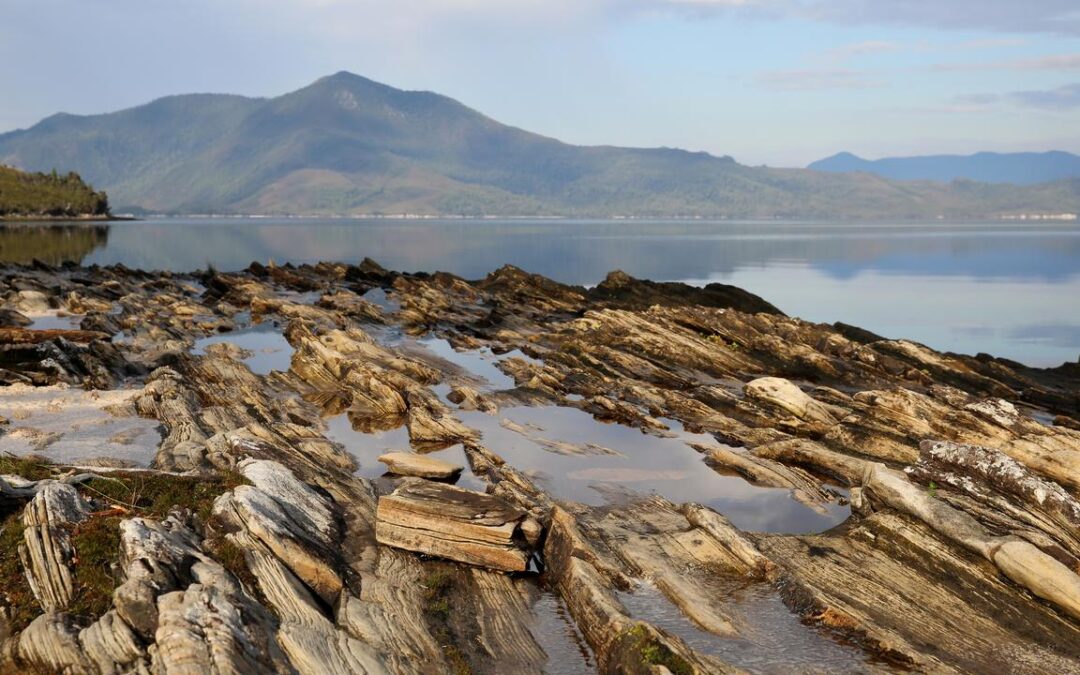 Second wind for long-promised nature law reforms