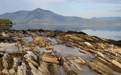 Second wind for long-promised nature law reforms