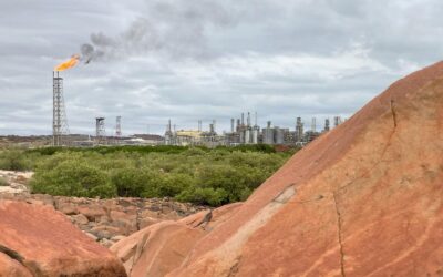 Art activists in legal bid to kill massive gas project