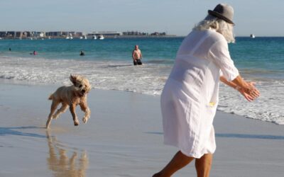 Opposition rules out deal on superannuation tax change