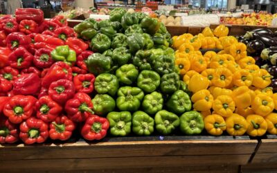 Calls for consumption tax to be off the roundtable menu