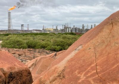 Fears gas project will harm heritage listed rock art