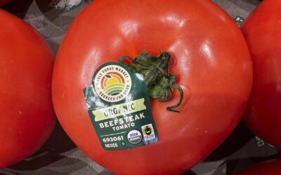 Tomato tariff: US slaps 17 per cent on Mexican imports