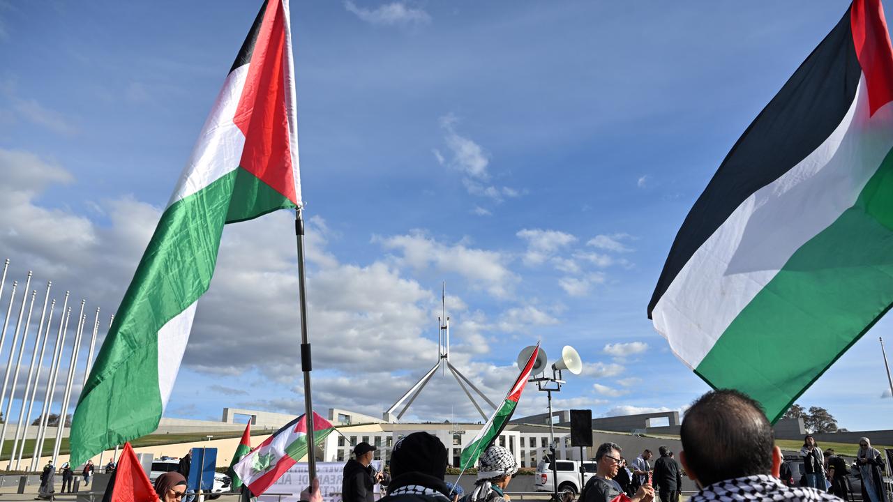 Protesters at a pro Palestine rally call for sanctions against Israel