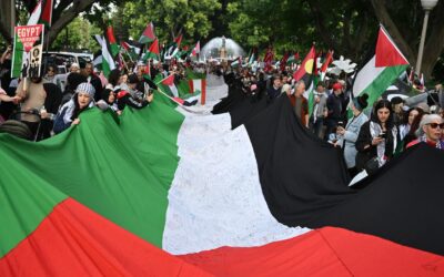 ‘Moral momentum’ to recognise Palestine after UK move