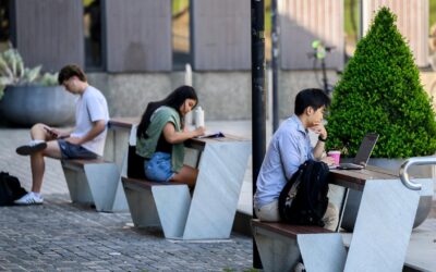 NZ plan to double foreign international student market