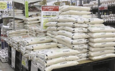 Rice not on the table in Japan’s trade talks with US