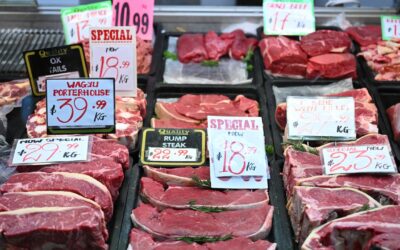 Lower tariff could give Aussie exports edge over rivals