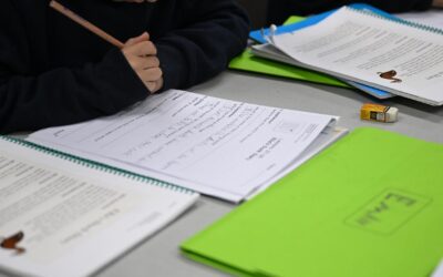 One-in-10 students need extra school support: NAPLAN