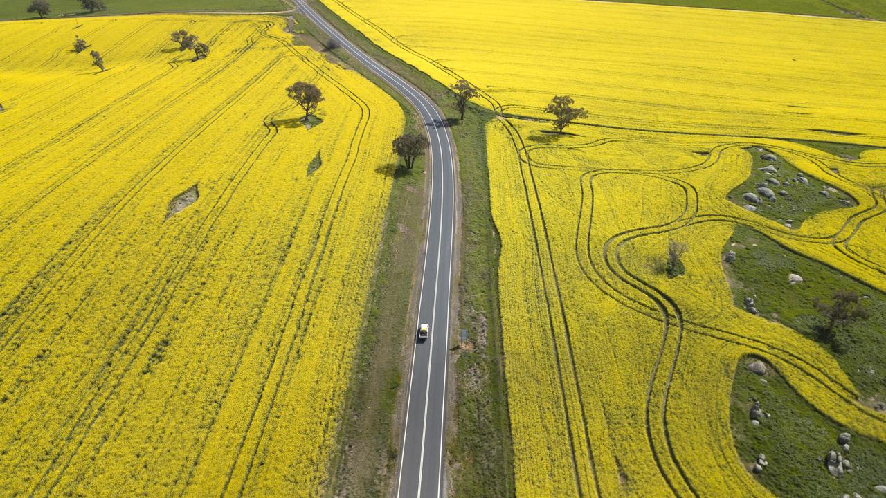 Aerial view of canola crops in NSW