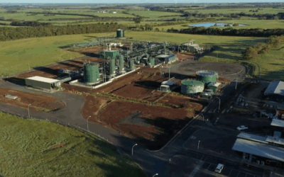 More gas. Labor amps it up past twenty fossil fuel approvals