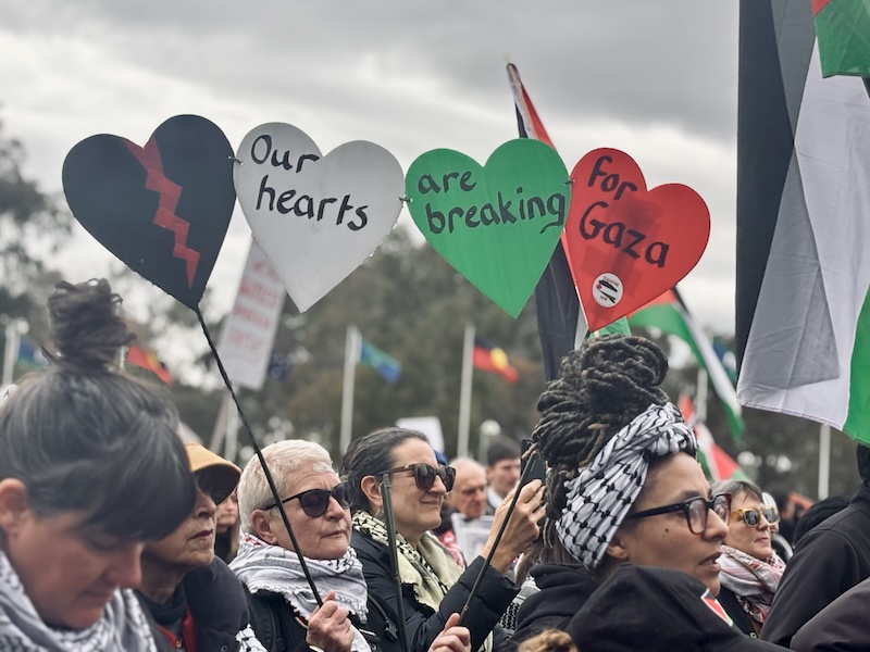 Palestine protests. Image: Stephanie Tran