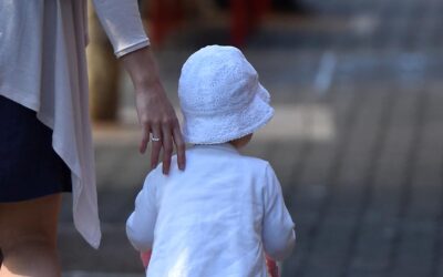 ‘We failed’: families seek options after abuse charges