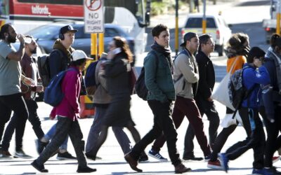 Job figures the fresh piece of Reserve Bank rate puzzle