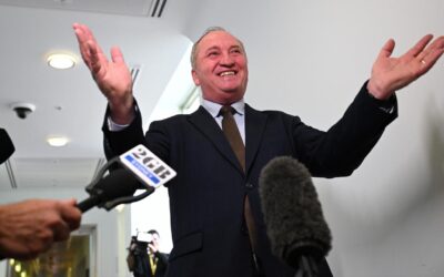 Nats ‘steers’ rumbling in party paddock over net zero