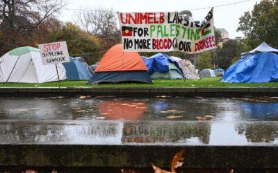 Protest crackdown creates ‘culture of fear’ on campuses