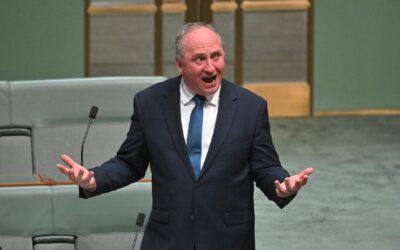 Maverick MP has coalition net-zero policy in his sights