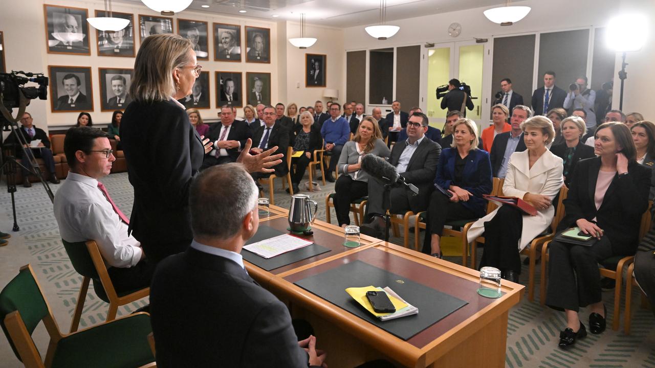 Leader of the Opposition Sussan Ley