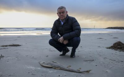 ‘Incredibly disturbing’: federal help for algae crisis
