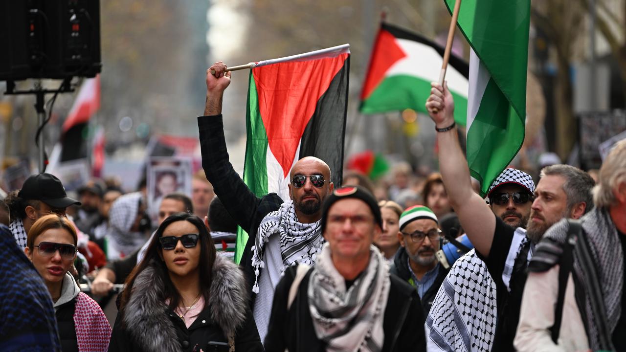 Pro-Palestine protest