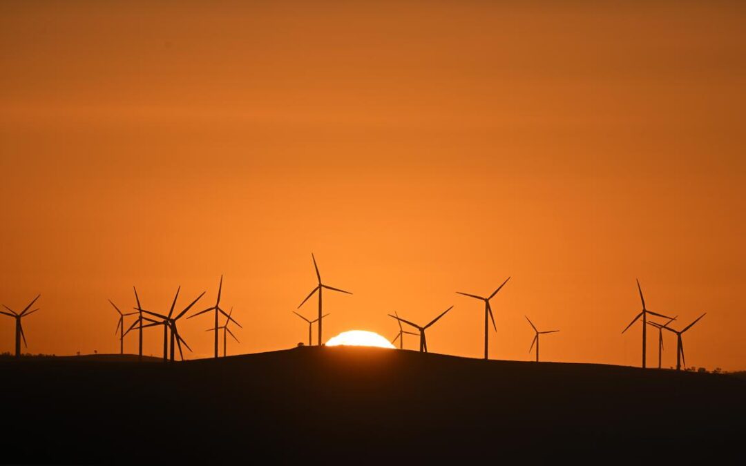 Renewables subsidies boost as UN urges more ambition