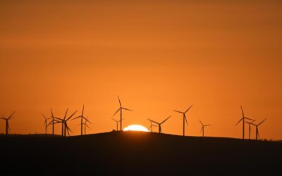 Renewables subsidies boost as UN urges more ambition