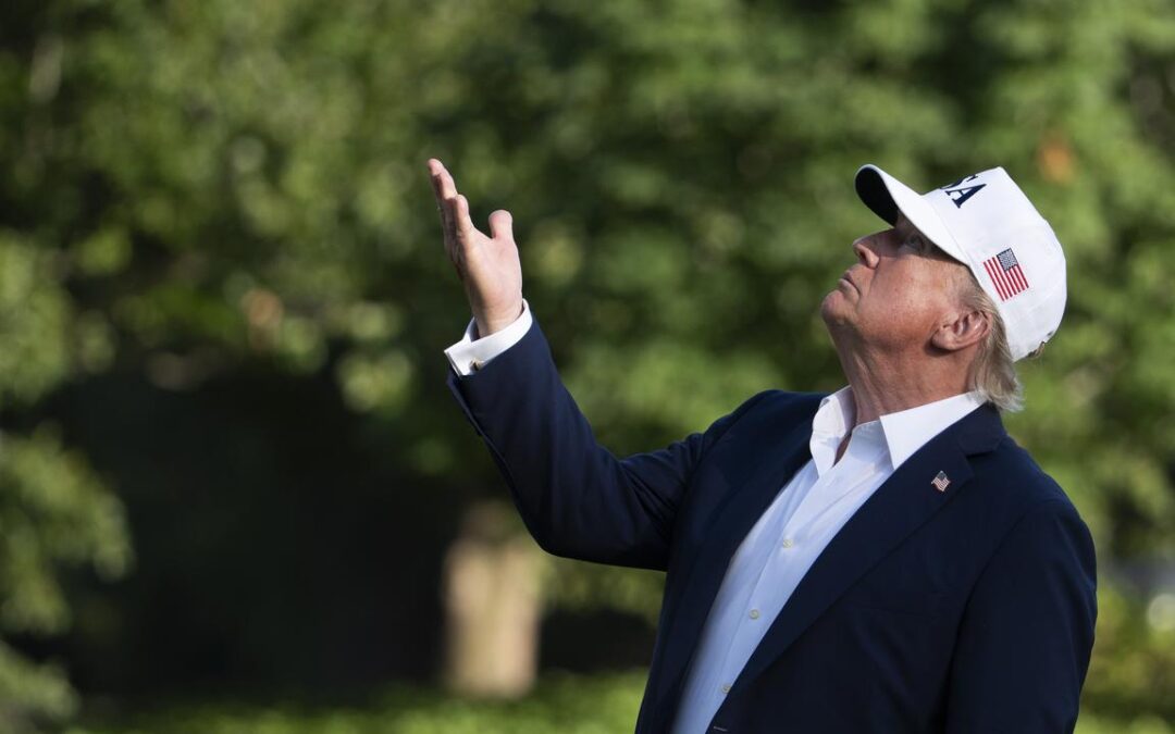 Trump to put 25 pct tariffs on Japan and South Korea