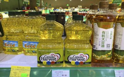 China duties on Canadian canola may advantage Australia