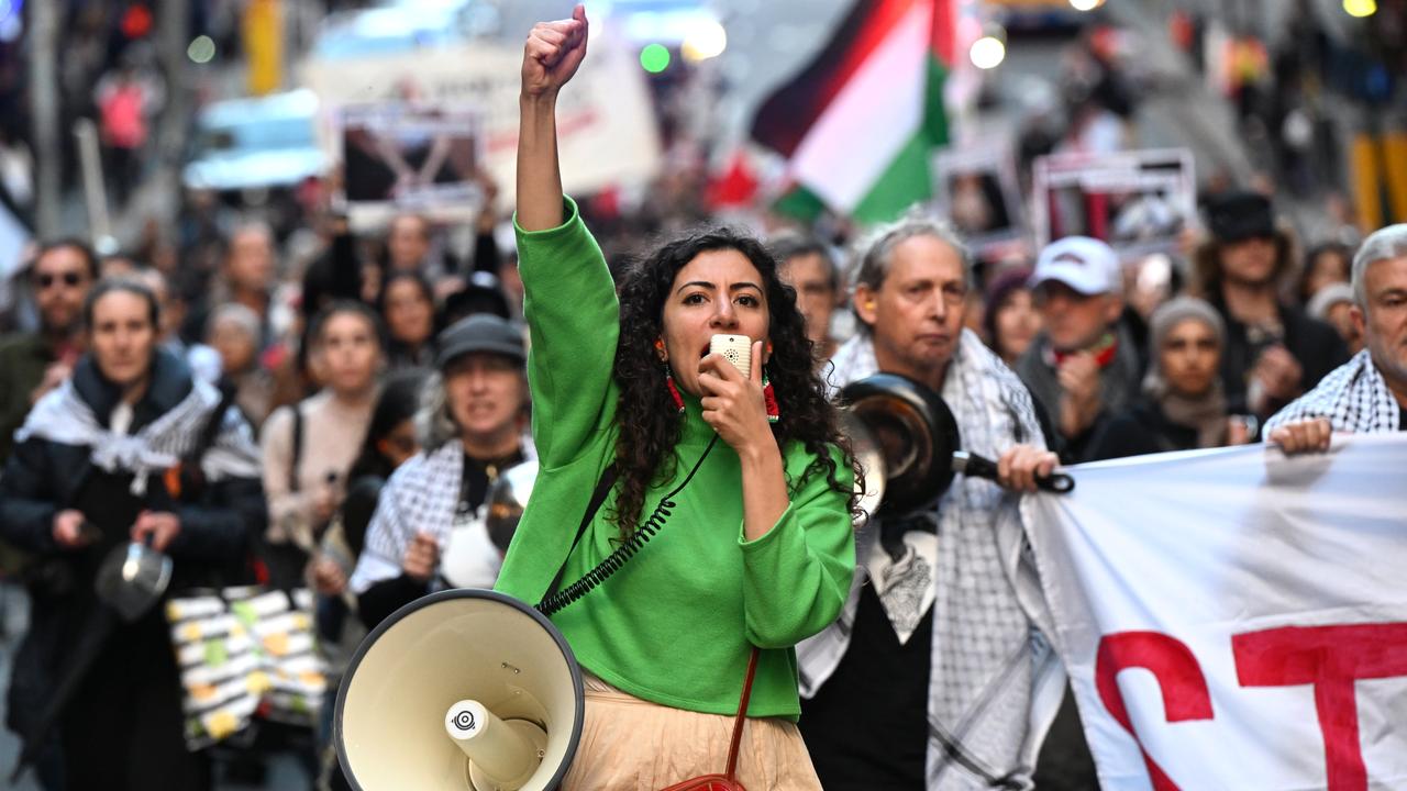 Pro-Palestine protesters