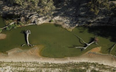 ‘Need to move quickly’: environmental reforms take root