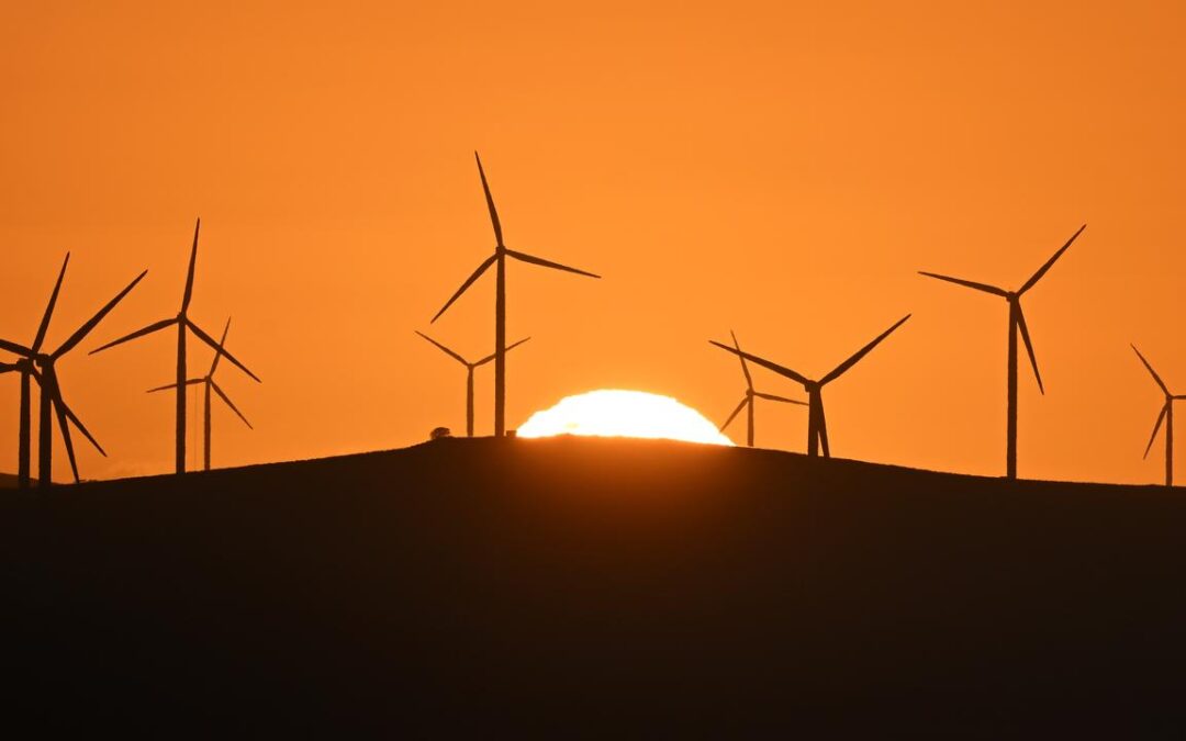 ‘Broken’ nature laws fast-tracked but details up in air