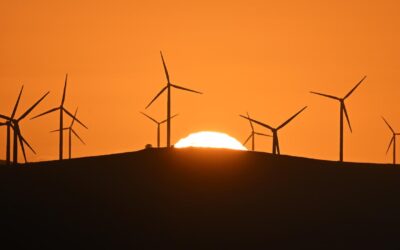 ‘Broken’ nature laws fast-tracked but details up in air