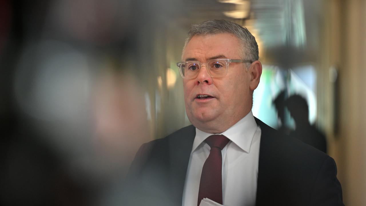 Environment Minister Murray Watt speaks to journalists