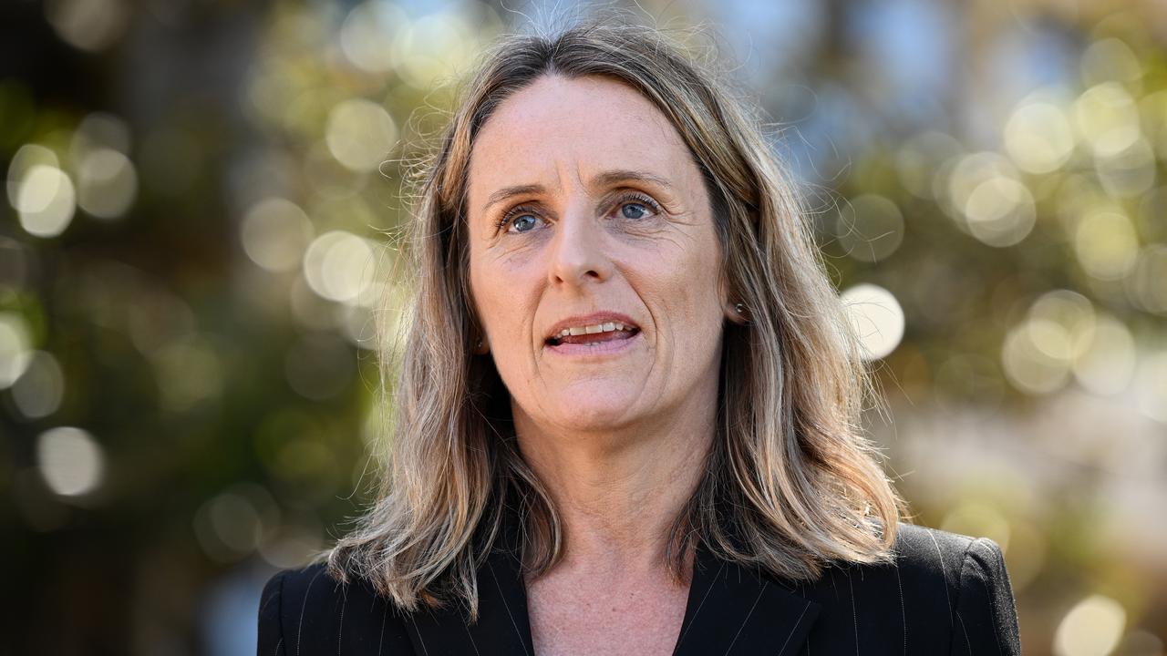 NSW Greens Deputy Sue Higginson speaks with the media