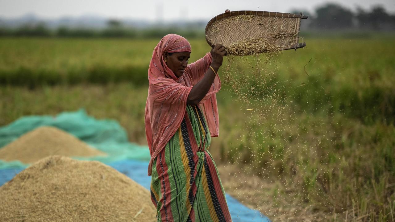 A farmer works in a paddy field on the outskirts of Guwahati, India