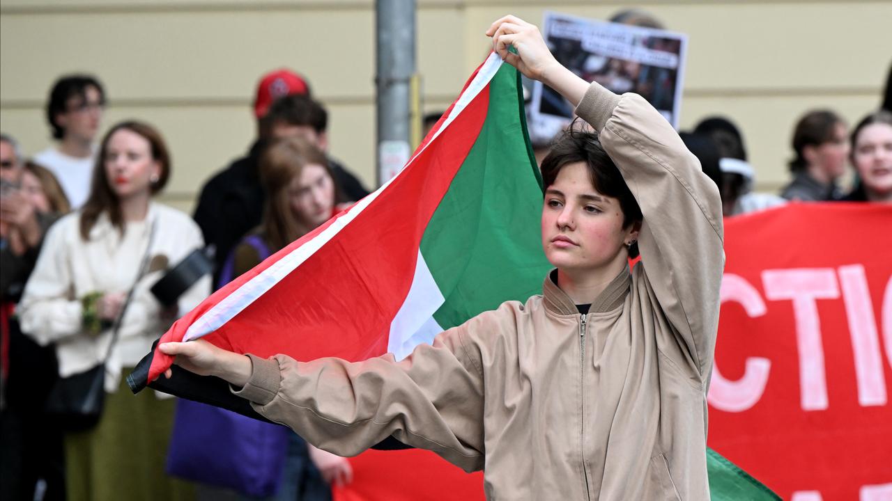 Pro-Palestine protest