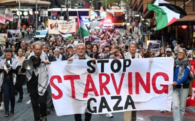 ‘Disgust’: US diplomat attacks ALP’s Palestine decision