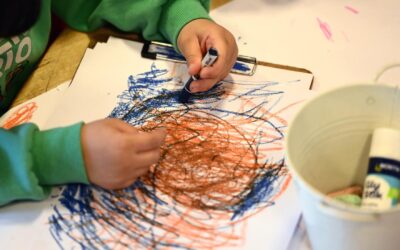 More details sought on plan to shift autism from NDIS