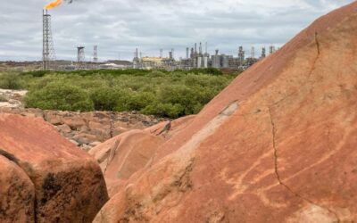 ‘Unreasonable’ delay in decision to protect rock art