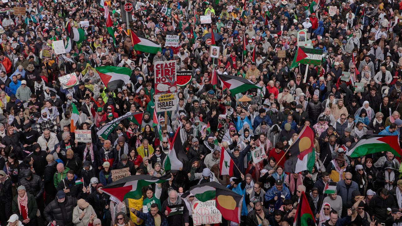 Pro-Palestine protesters