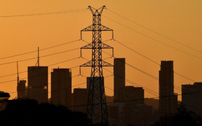 Grid reliability gaps covered, if no project delays