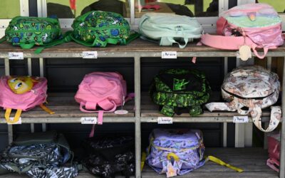 Tougher national working with kids scheme by year’s end