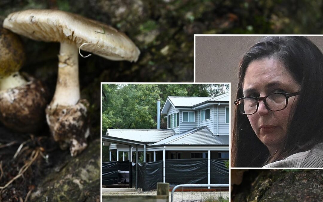 Mushroom murderer returns to court as sentencing looms