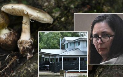 Mushroom murderer returns to court as sentencing looms