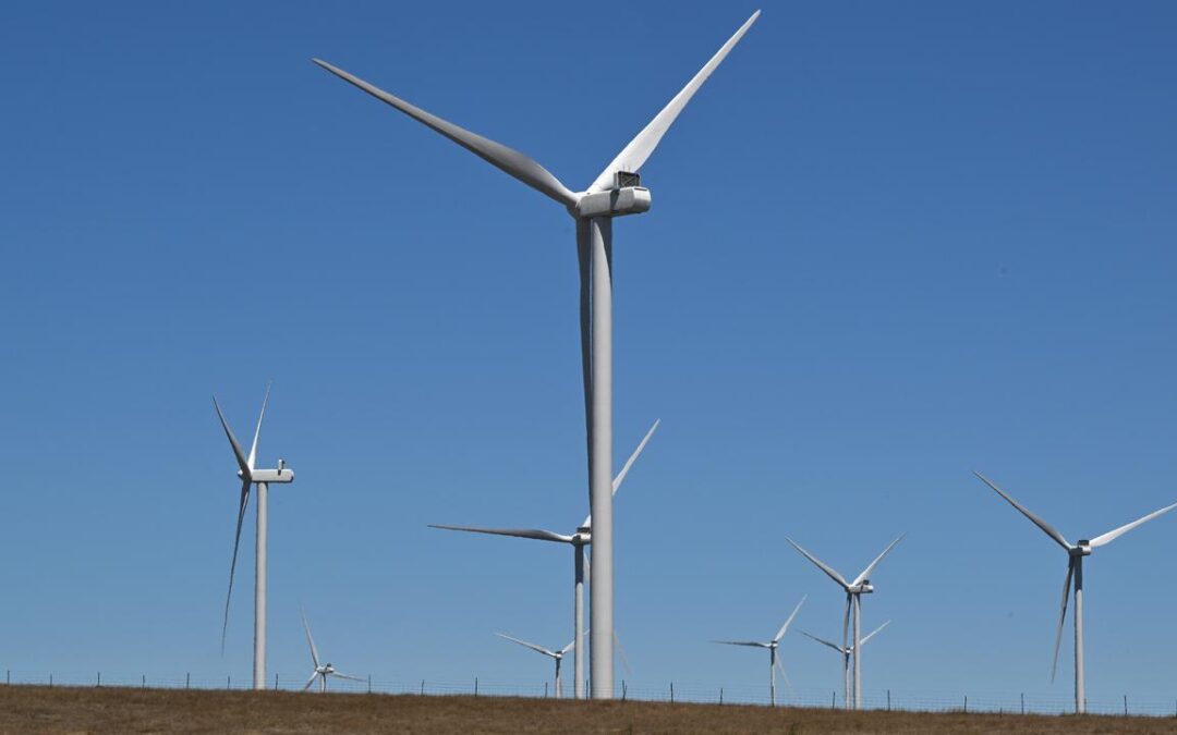 ‘Be realistic’: contentious wind farm gets green light